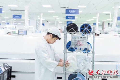 长沙大步迈向中国软件名城 软件和信息技术服务新篇章