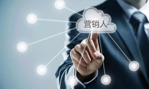 营销人必备能力与软件信息技术服务应用