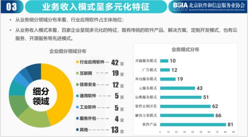 2021北京软件和信息技术服务企业综合实力报告发布